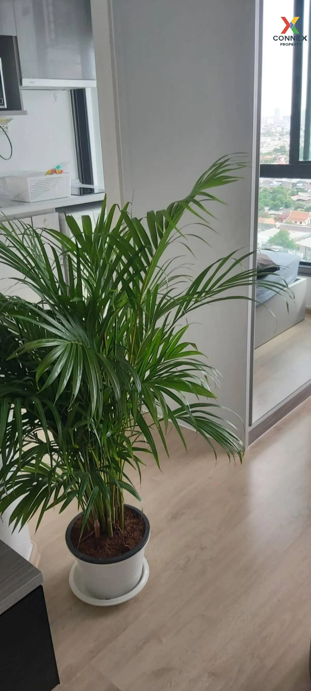 เช่าคอนโด  ไอดีโอ สาทร - ท่าพระ BTS-โพธิ์นิมิตร บุคคโล เขต ธนบุรี เช่าคอนโด  ไอดีโอ สาทร - ท่าพระ BTS-โพธิ์นิมิตร บุคคโล เขต ธนบุรี