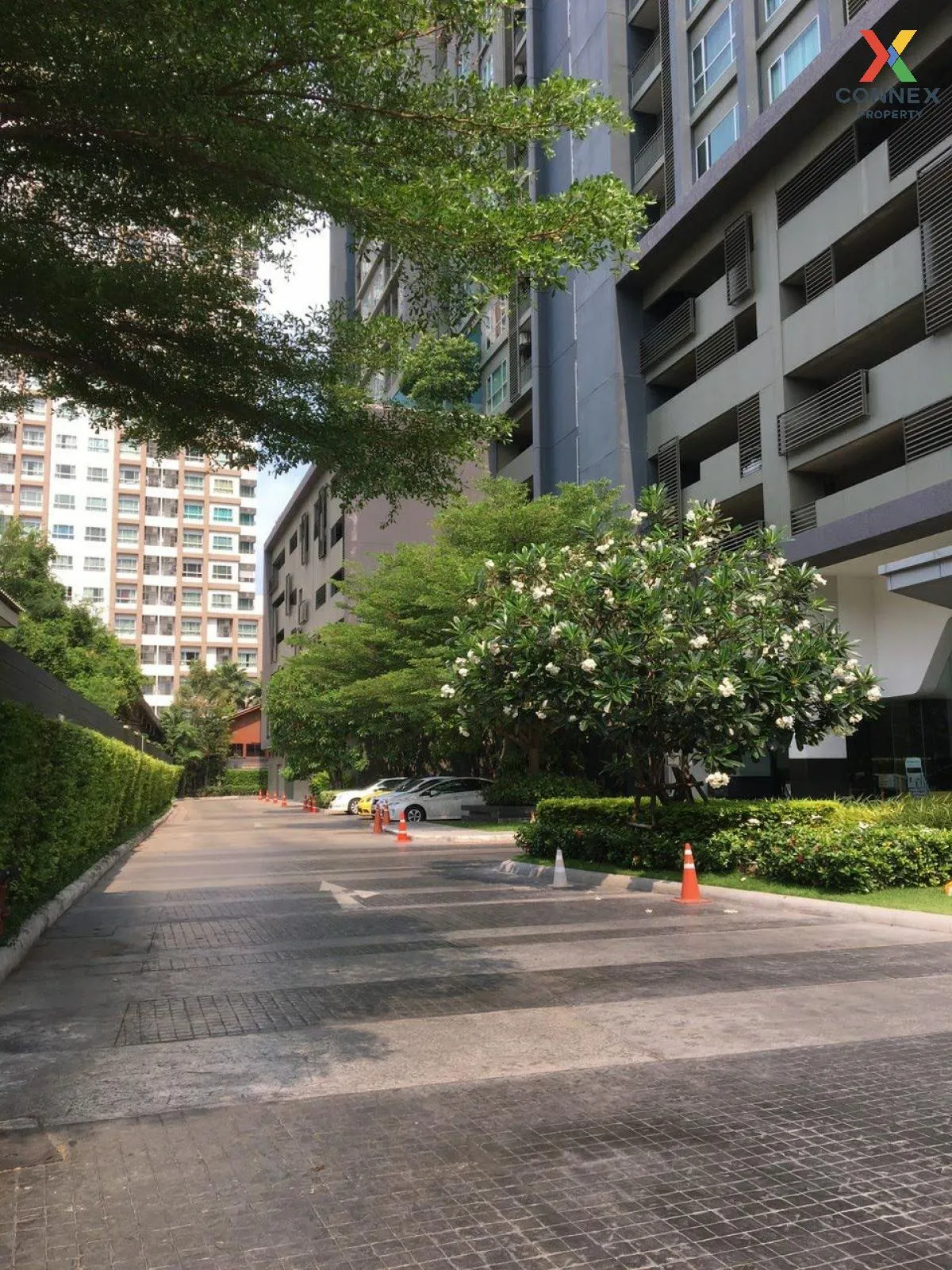 FOR RENT condo , Hive Sathorn , BTS-Krung Thon Buri , Khlong Ton  FOR RENT condo , Hive Sathorn , BTS-Krung Thon Buri , Khlong Ton