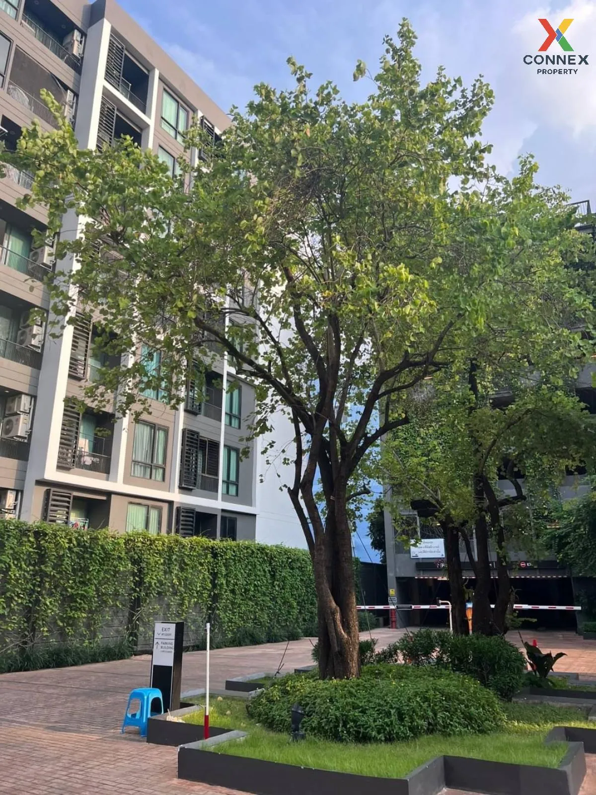 เช่าคอนโด  แชปเตอร์ วัน มิดทาวน์ ลาดพร้าว24 BTS-ห้าแยกลาดพร้าว จอ