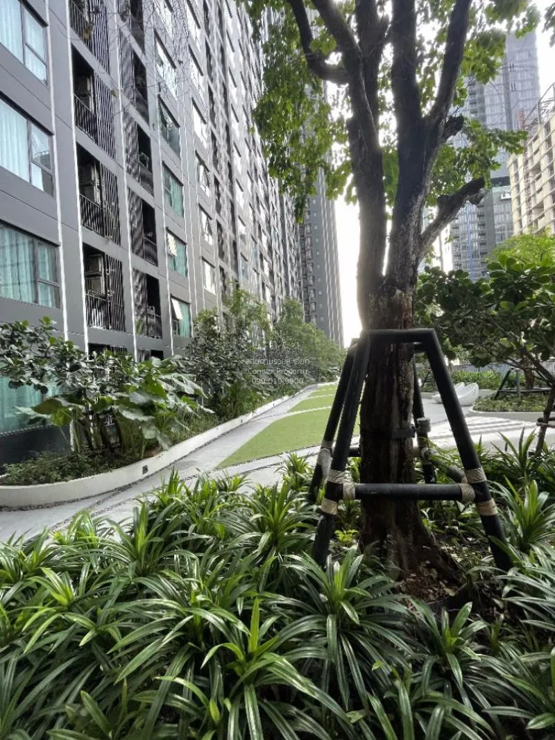 ขายคอนโด  ไลฟ์ อโศก - พระรามเก้า MRT-พระราม 9 มักกะสัน เขต ราชเทว