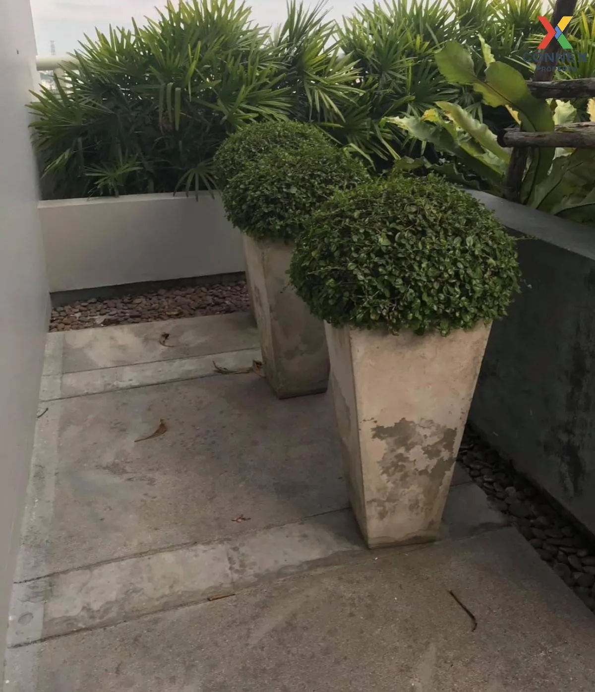 เช่าคอนโด  ไลฟ์ แอท รัชดา - ห้วยขวาง MRT-ห้วยขวาง ห้วยขวาง เขต ห้ เช่าคอนโด  ไลฟ์ แอท รัชดา - ห้วยขวาง MRT-ห้วยขวาง ห้วยขวาง เขต ห้ 4