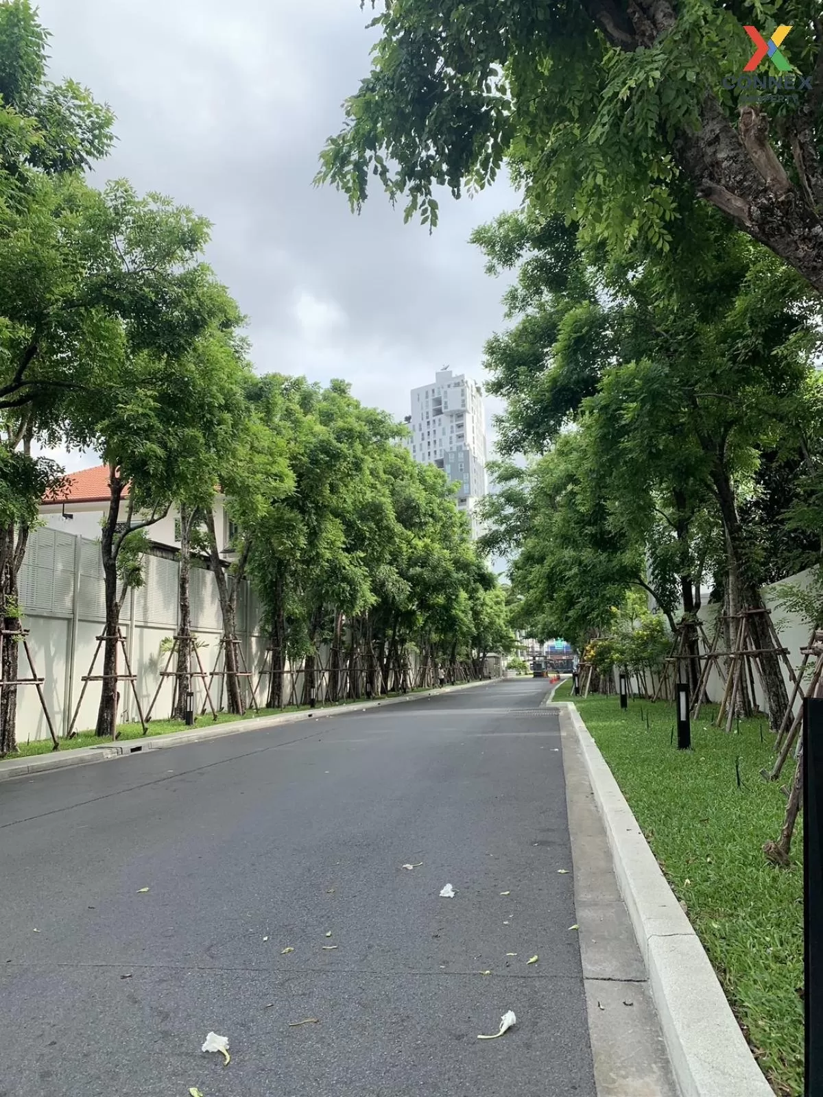 เช่าคอนโด  เดอะ รูม รัชดา - ลาดพร้าว MRT-ลาดพร้าว ลาดยาว เขต จตุจ เช่าคอนโด  เดอะ รูม รัชดา - ลาดพร้าว MRT-ลาดพร้าว ลาดยาว เขต จตุจ