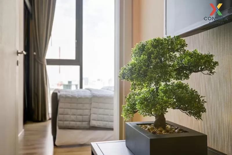 เช่าคอนโด  เดอะไลน์ จตุจักร BTS-หมอชิต จอมพล  เขต จตุจักร กรุงเทพ เช่าคอนโด  เดอะไลน์ จตุจักร BTS-หมอชิต จอมพล  เขต จตุจักร กรุงเทพ