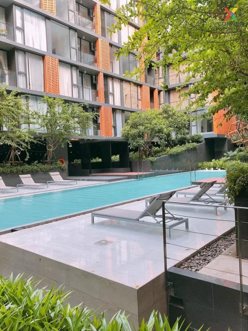 FOR RENT condo , Quintara Treehaus Sukhumvit 42 , nice view , BTS FOR RENT condo , Quintara Treehaus Sukhumvit 42 , nice view , BTS