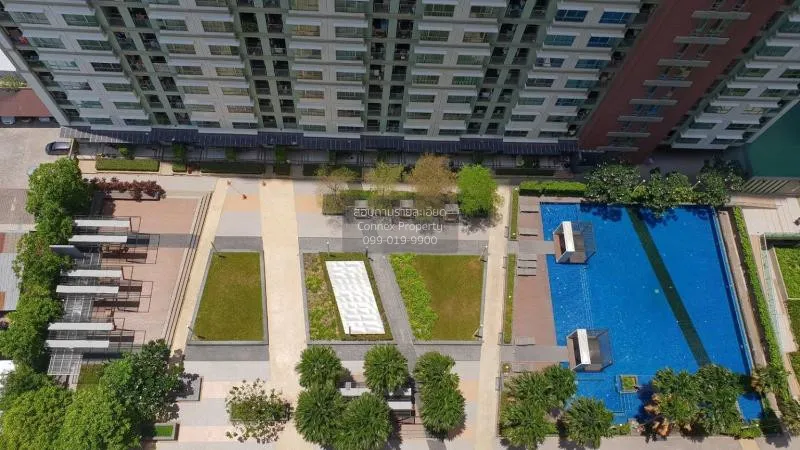 เช่าคอนโด  ลุมพินี พาร์ค ริเวอร์ไซด์ - พระราม 3 ชั้นสูง บางโพงพาง