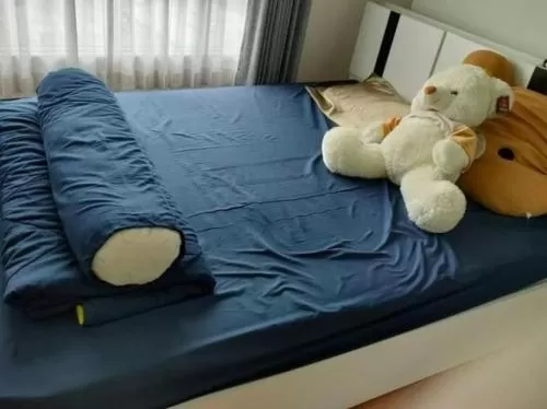 เช่าคอนโด  เดอะ เพรสซิเดนท์ สาทร - ราชพฤกษ์ 2 วิวสวย BTS-บางหว้า ปากคลองภาษีเจริญ เขต ภาษีเจริญ กรุงเทพ CX-52880