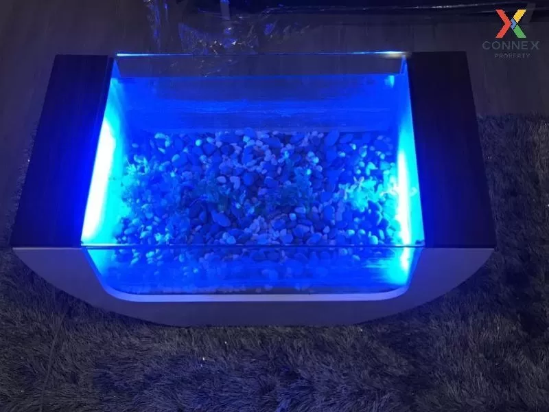 เช่าคอนโด  นายน์ บาย แสนสิริ BTS-วงเวียนใหญ่ คลองต้นไทร เขต คลองส