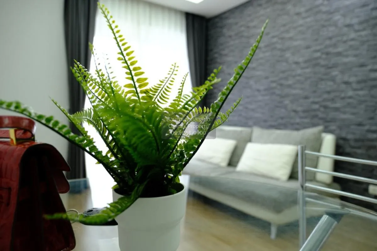 FOR RENT condo , Thru Thonglor , BTS-Thong Lo , Bang Kapi , Huai  1