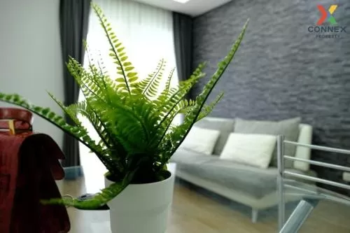 FOR RENT condo , Thru Thonglor , BTS-Thong Lo , Bang Kapi , Huai Khwang , Bangkok , CX-71165