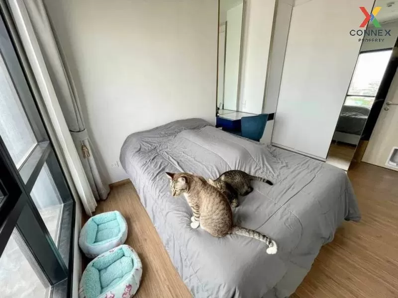 เช่าคอนโด  เมทริส พระราม 9-รามคำแหง ARL-รามคำแหง หัวหมาก เขต บางก