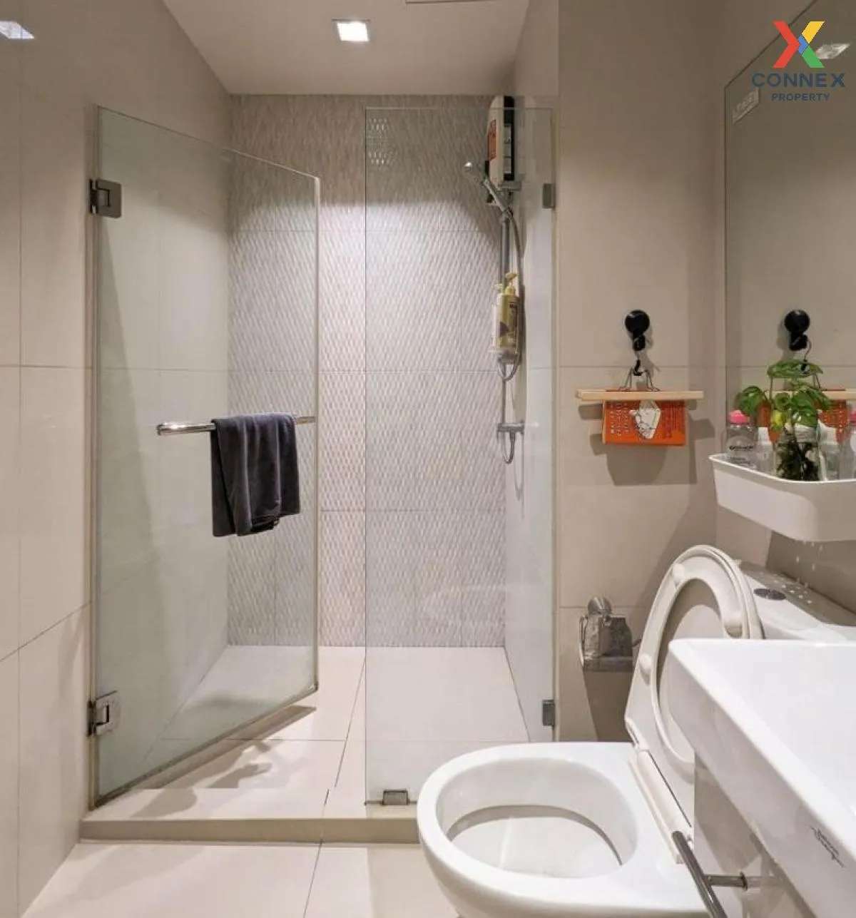 เช่าคอนโด  ไลฟ์ สุขุมวิท 48 BTS-พระโขนง พระโขนง เขต คลองเตย กรุงเ