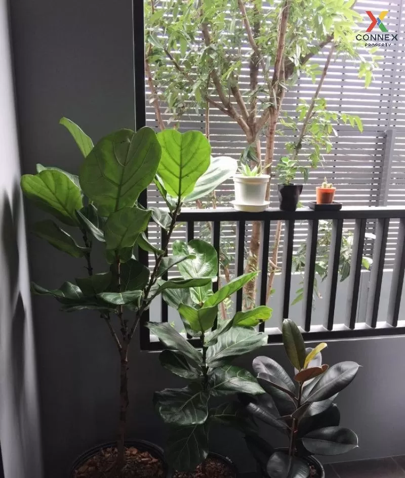 ขายคอนโด  มาเอสโตร 19 รัชดา 19 - วิภา MRT-รัชดาภิเษก ดินแดง เขต ด