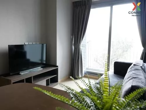 FOR RENT condo , Whizdom Connect Sukhumvit , BTS-Punnawithi , Bang Chak , Phra Khanong , Bangkok , CX-80675
