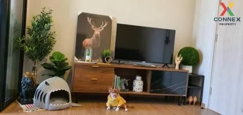 FOR RENT condo , Metris Rama 9 - Ramkhamhaeng , ARL-Ramkhamhaeng , Hua Mak , Bang Kapi , Bangkok , CX-80853