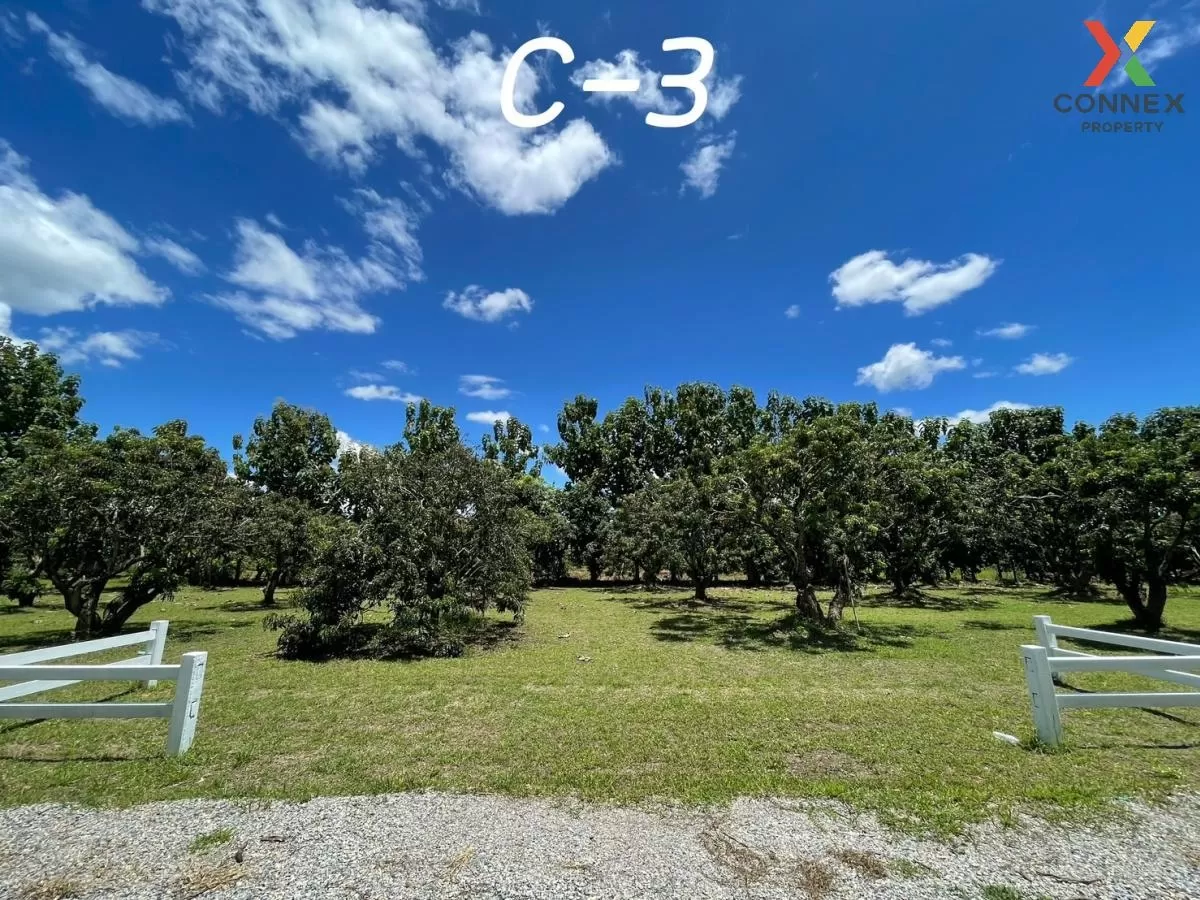 FOR SALE land , Sop Tia , Chom Thong , Chiang Mai , CX-81055 1