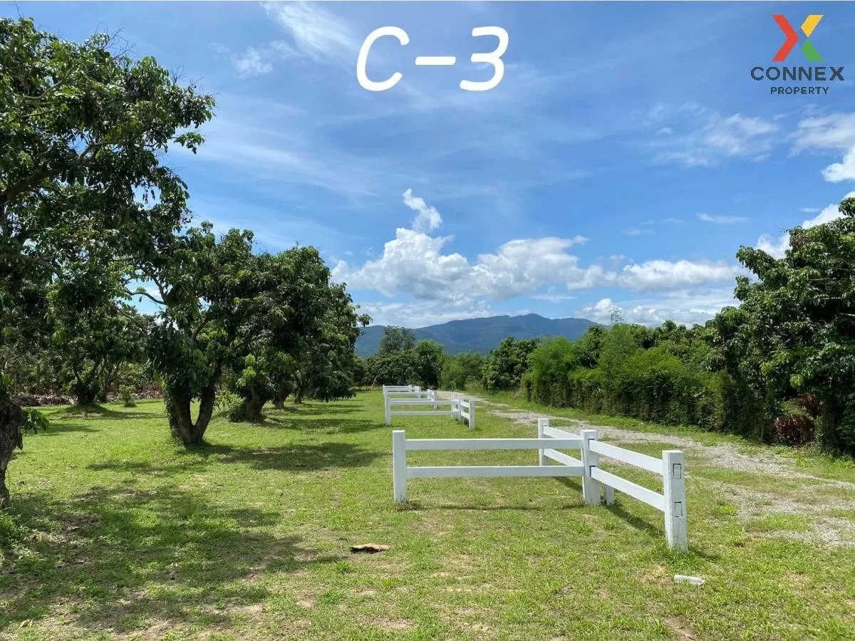 FOR SALE land , Sop Tia , Chom Thong , Chiang Mai , CX-81055 2