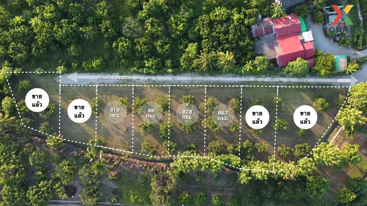 FOR SALE land , Sop Tia , Chom Thong , Chiang Mai , CX-81055 4