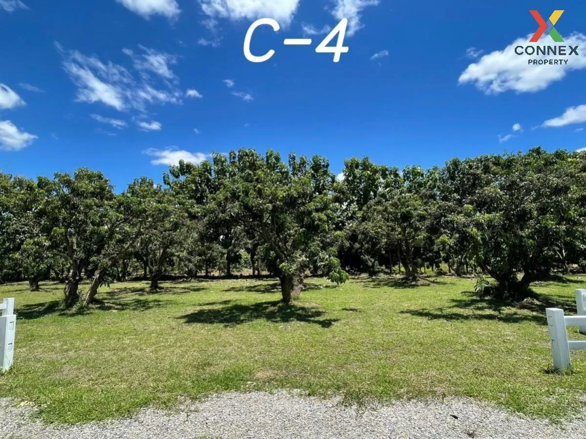 FOR SALE land , Sop Tia , Chom Thong , Chiang Mai , CX-81057 1