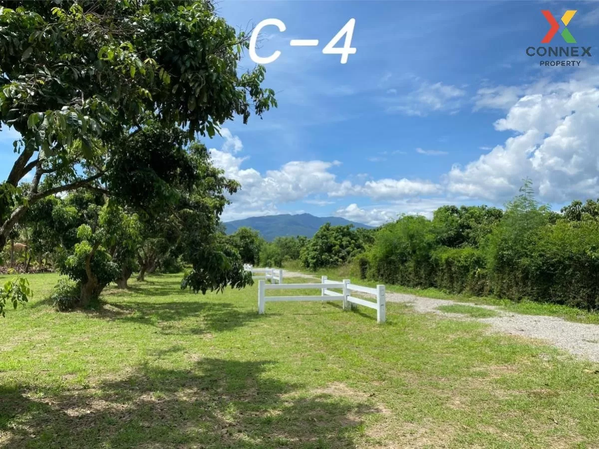 FOR SALE land , Sop Tia , Chom Thong , Chiang Mai , CX-81057 2