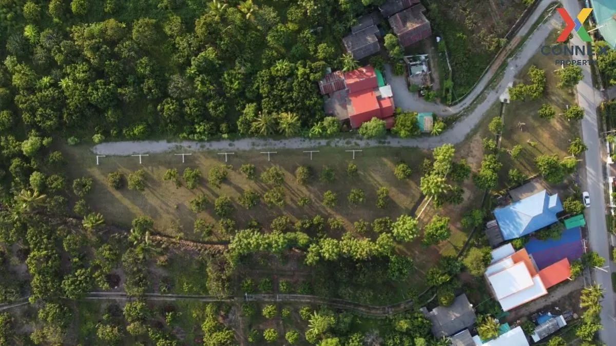 FOR SALE land , Sop Tia , Chom Thong , Chiang Mai , CX-81057 3