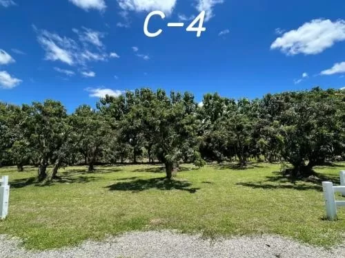 FOR SALE land , Sop Tia , Chom Thong , Chiang Mai , CX-81057