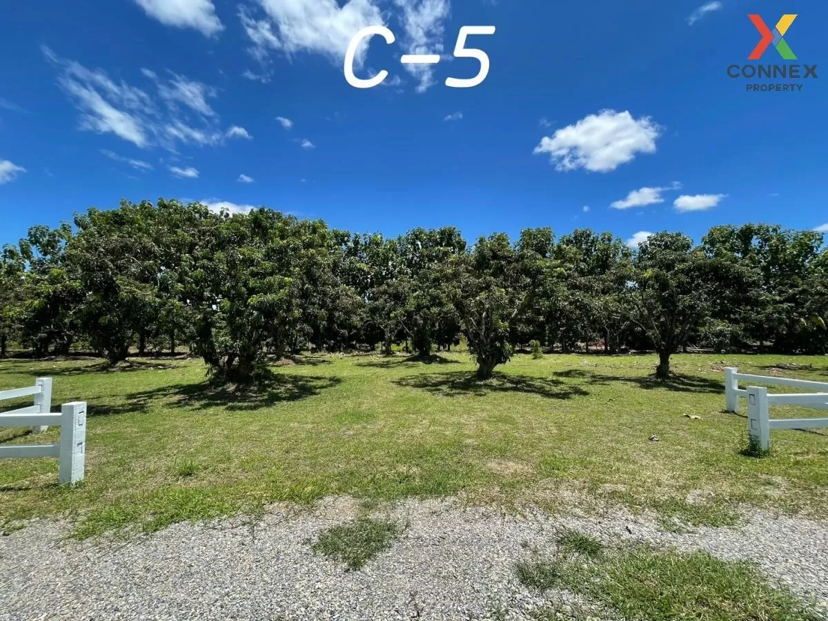 FOR SALE land , Sop Tia , Chom Thong , Chiang Mai , CX-81060 1