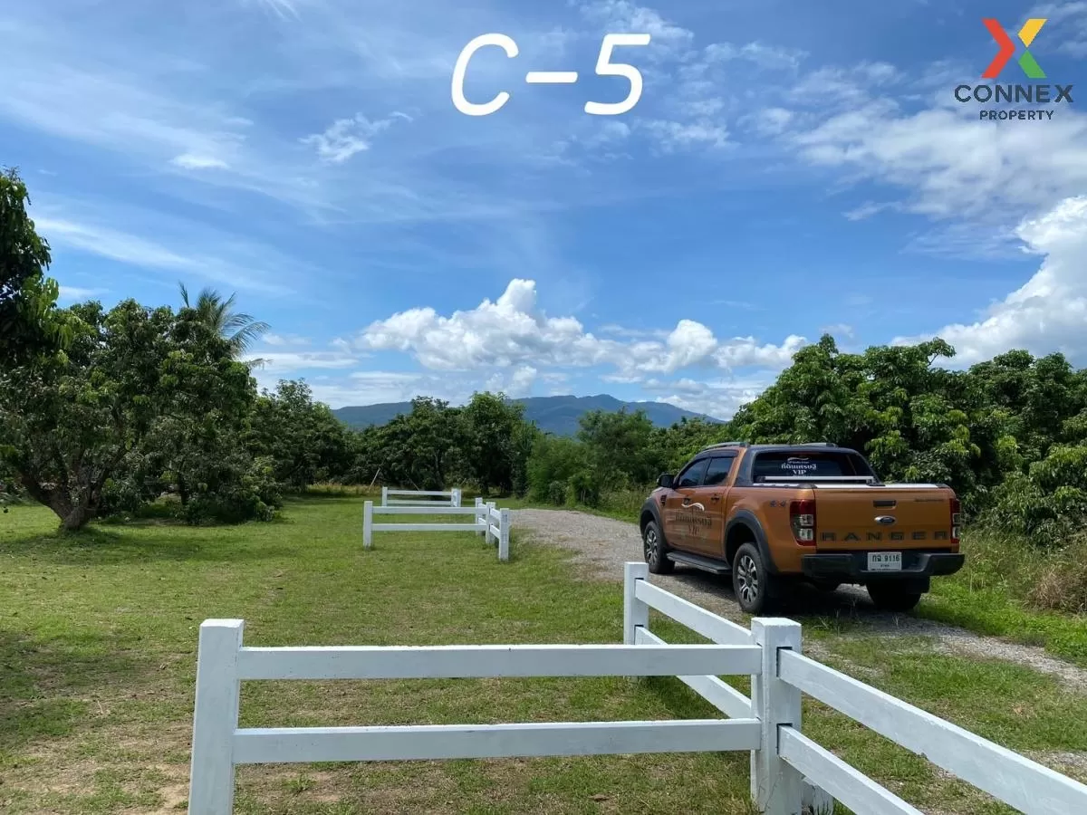 FOR SALE land , Sop Tia , Chom Thong , Chiang Mai , CX-81060 2