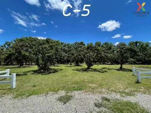 FOR SALE land , Sop Tia , Chom Thong , Chiang Mai , CX-81060