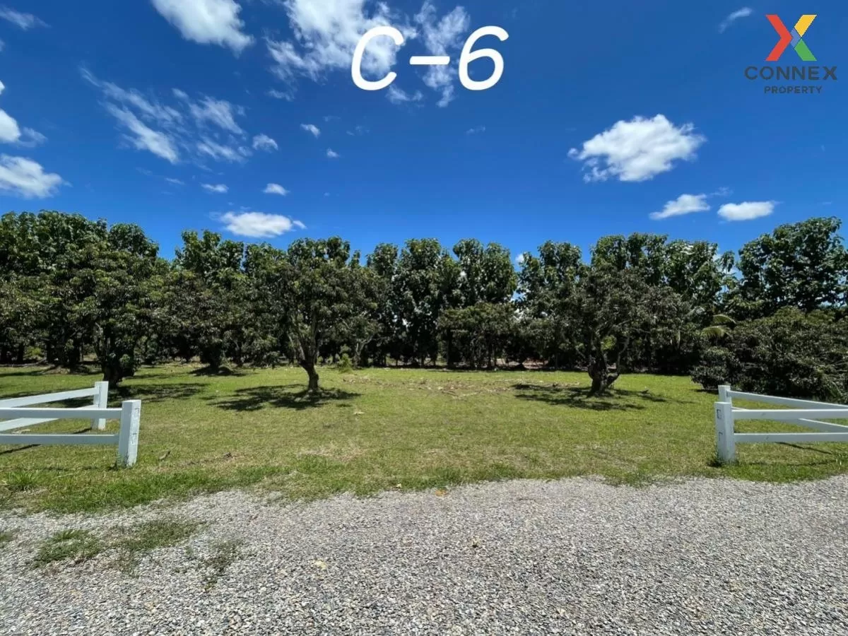 FOR SALE land , Sop Tia , Chom Thong , Chiang Mai , CX-81061 1