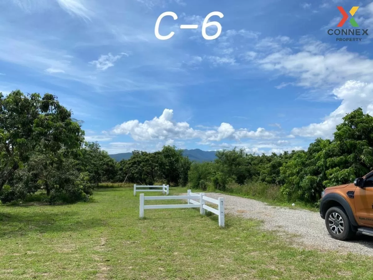 FOR SALE land , Sop Tia , Chom Thong , Chiang Mai , CX-81061 2