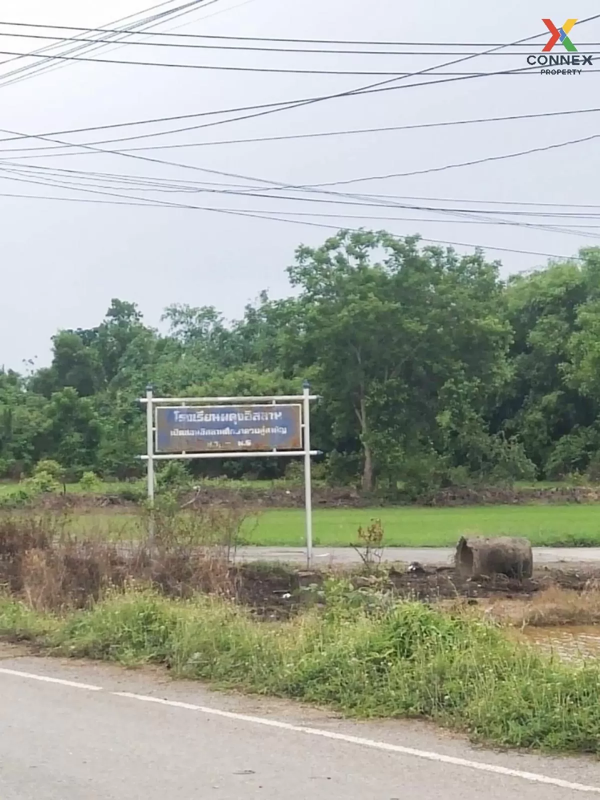 ขายที่ดินเปล่า  ศีรษะทอง องครักษ์ นครนายก CX-81160