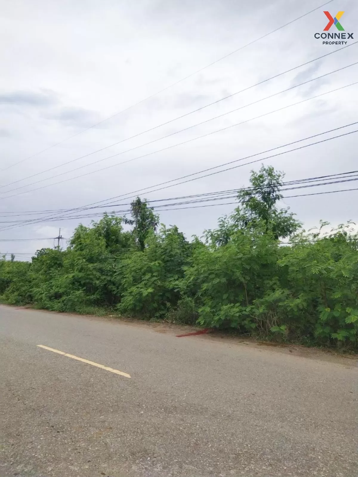 ขายที่ดินเปล่า  ศีรษะทอง องครักษ์ นครนายก CX-81160