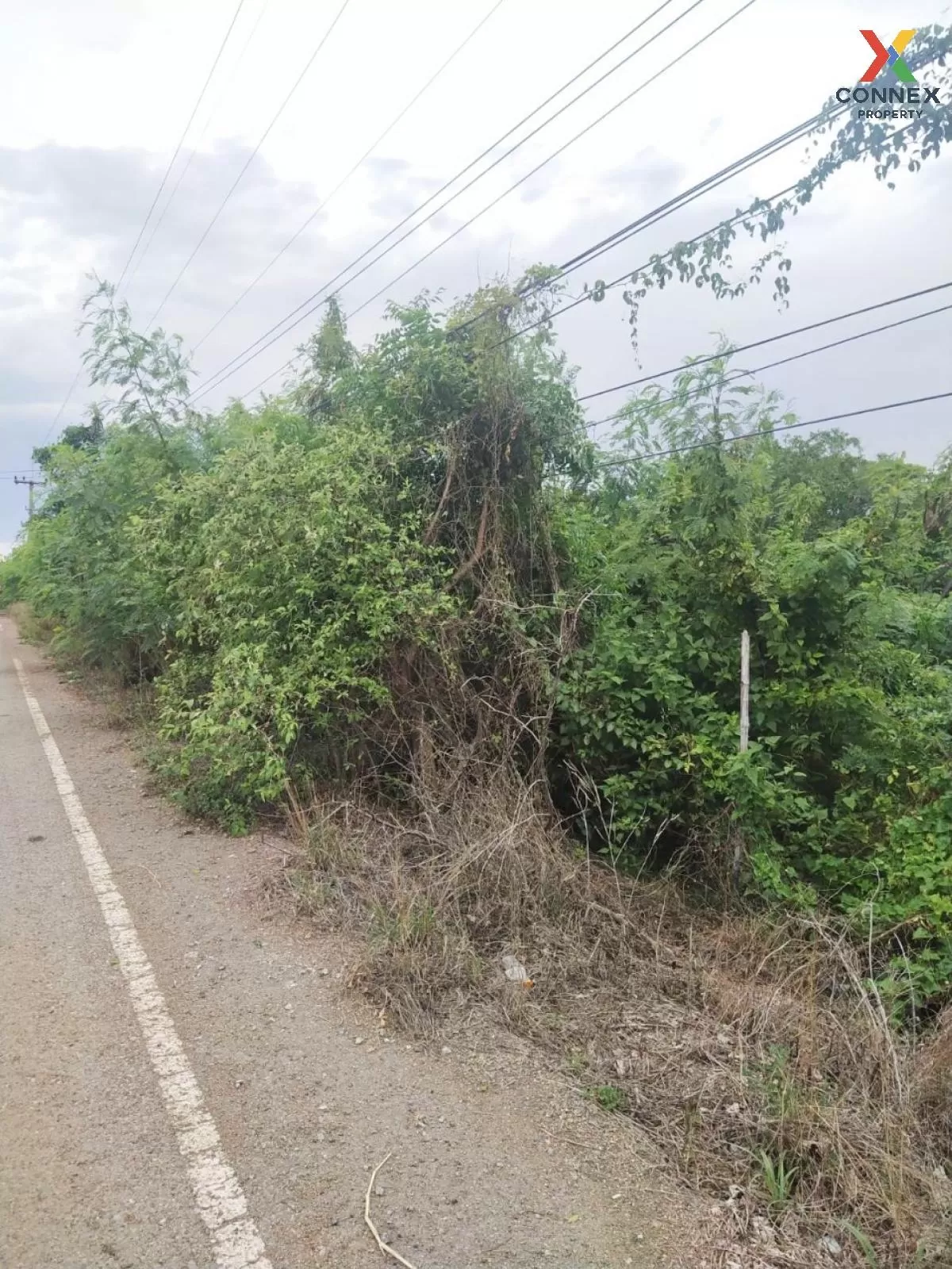 ขายที่ดินเปล่า  ศีรษะทอง องครักษ์ นครนายก CX-81160