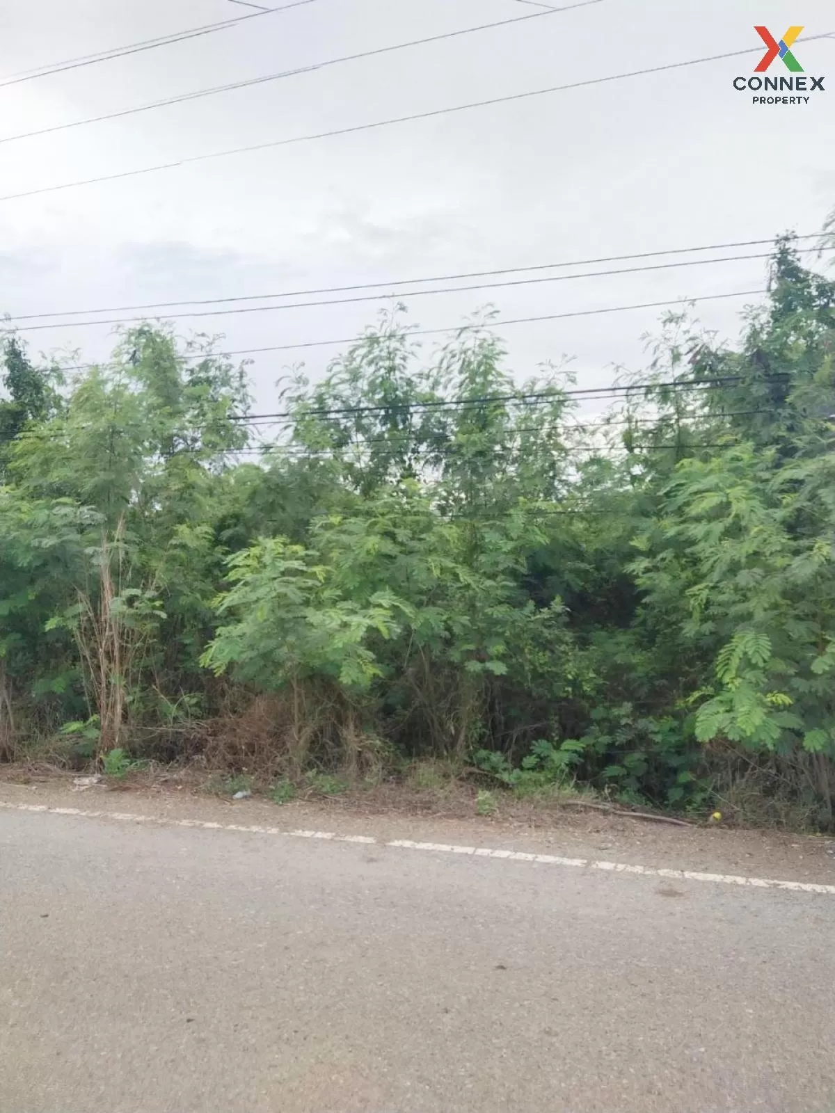 ขายที่ดินเปล่า  ศีรษะทอง องครักษ์ นครนายก CX-81160