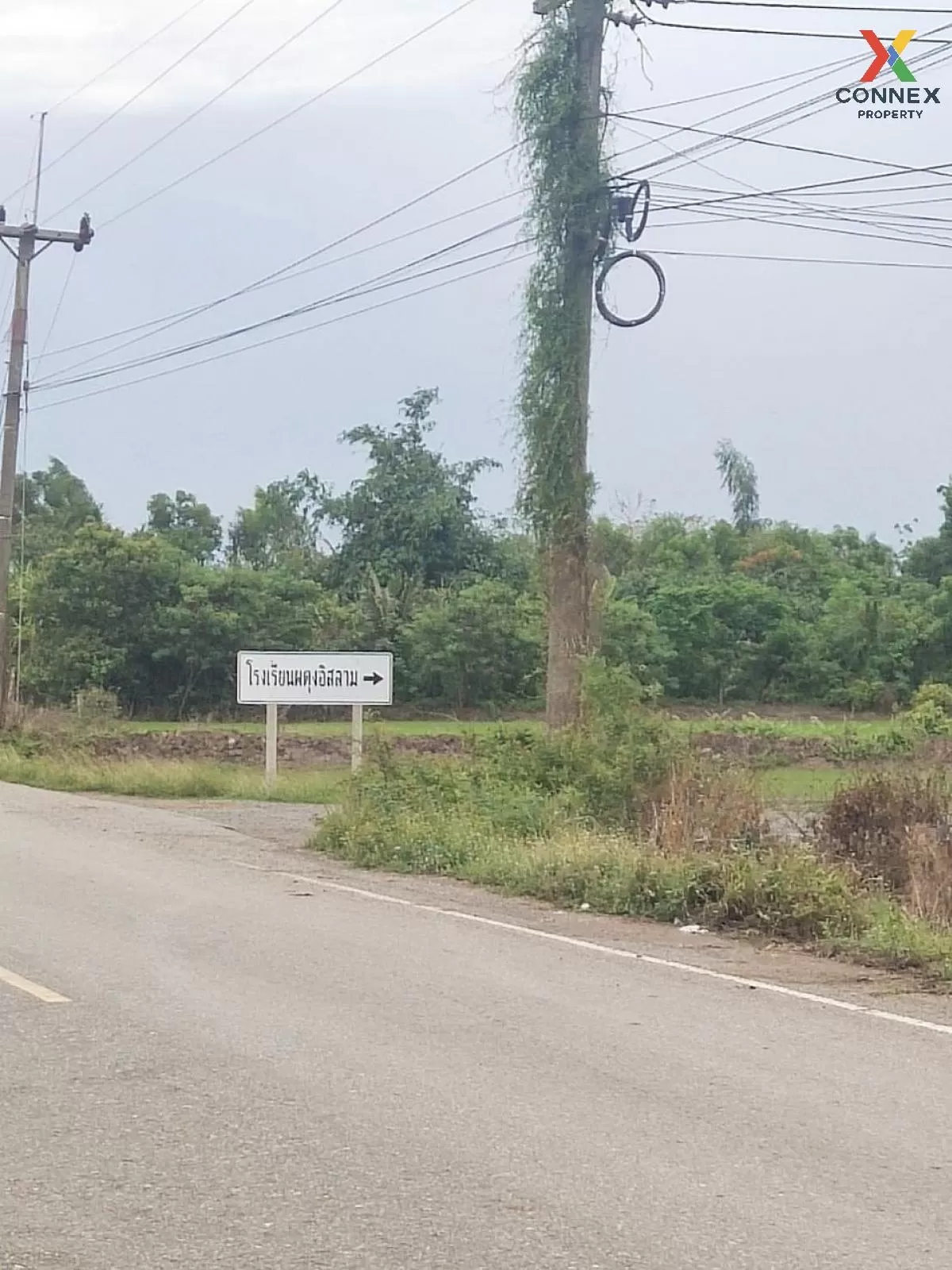 ขายที่ดินเปล่า  ศีรษะทอง องครักษ์ นครนายก CX-81160