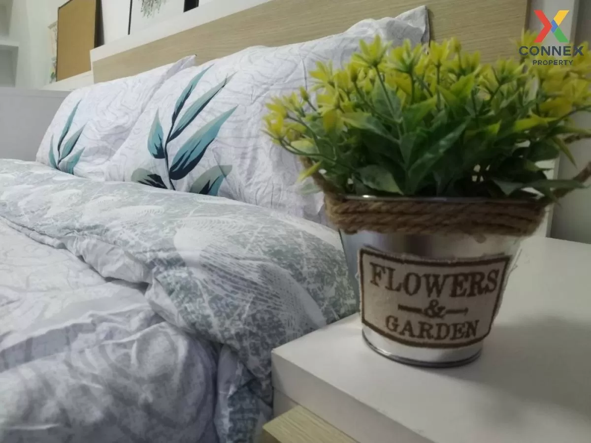 เช่าคอนโด  มาย คอนโด สุขุมวิท 81 BTS-อ่อนนุช บางจาก เขต พระโขนง ก