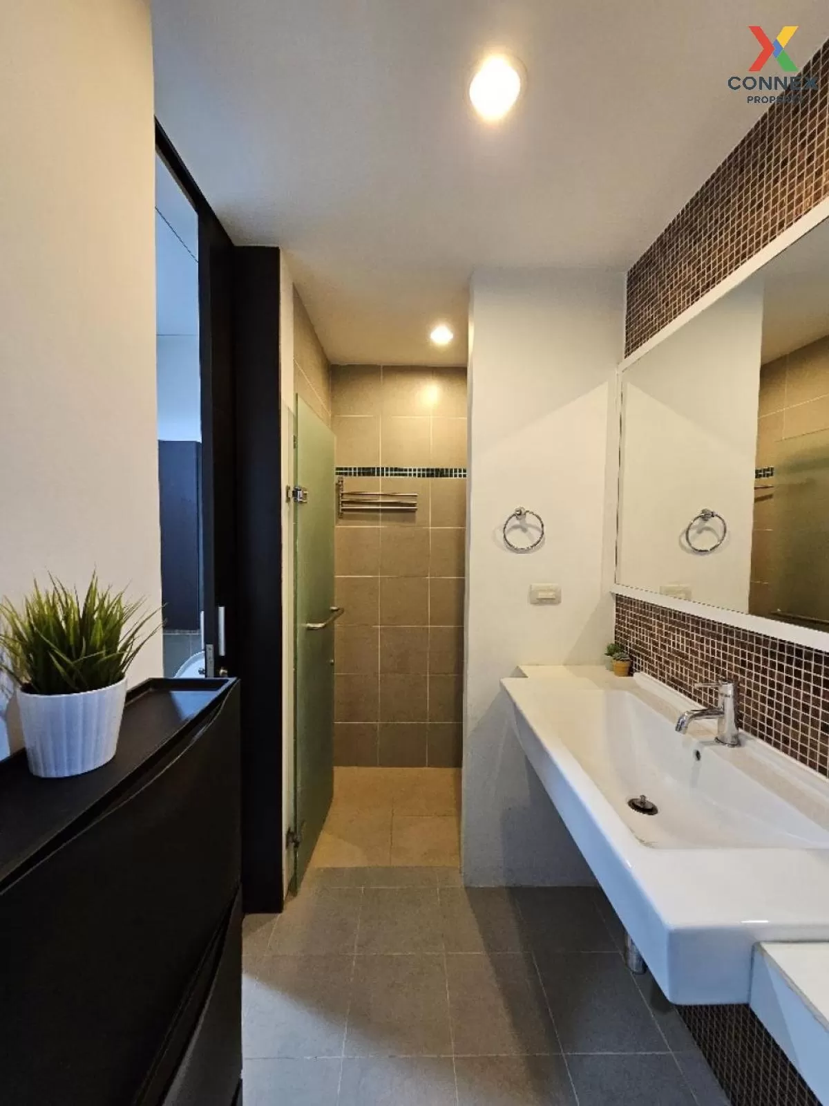 For Rent Condo , The Muse Sukhumvit , BTS-Udom Suk , Bang Chak , 