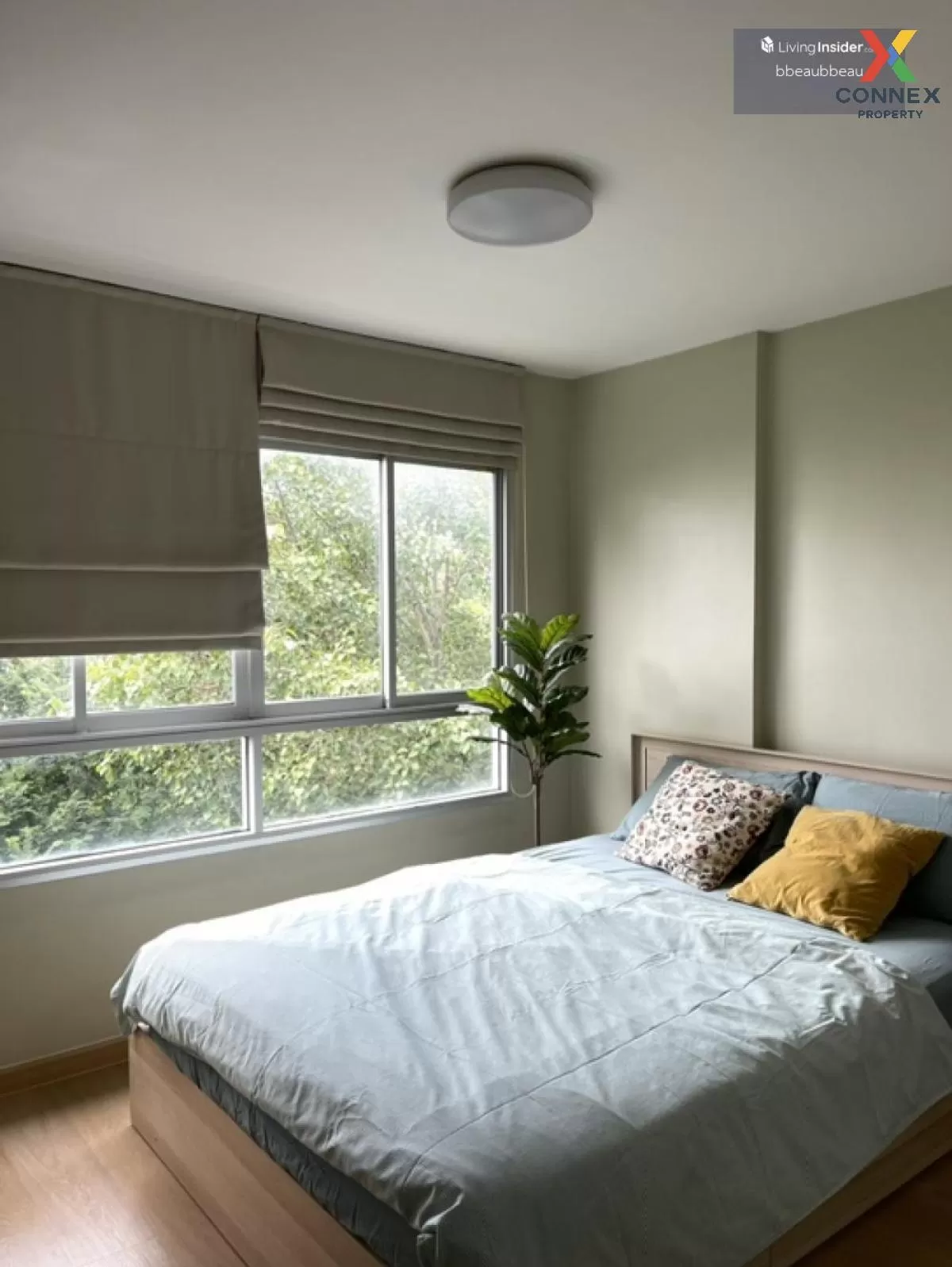 For Rent Condo , Elio Del Ray Sukhumvit 64 , BTS-Punnawithi , Ban