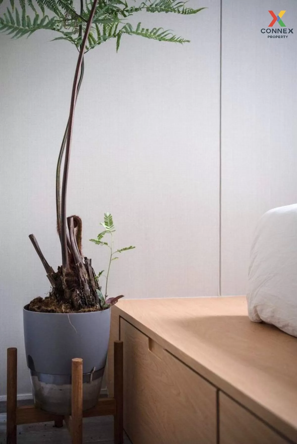 For Sale Condo , The line sukhumvit 101 , BTS-Punnawithi , Bang C