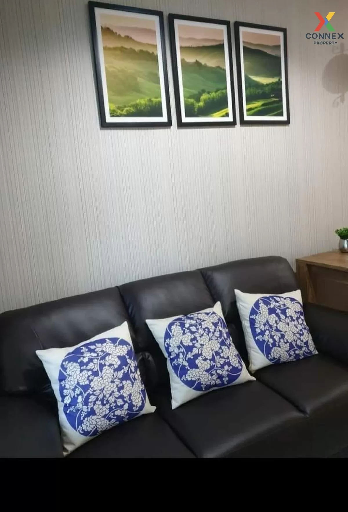 For Rent Condo , @ City Sukhumvit 101/1 , BTS-Punnawithi , Bang C 3