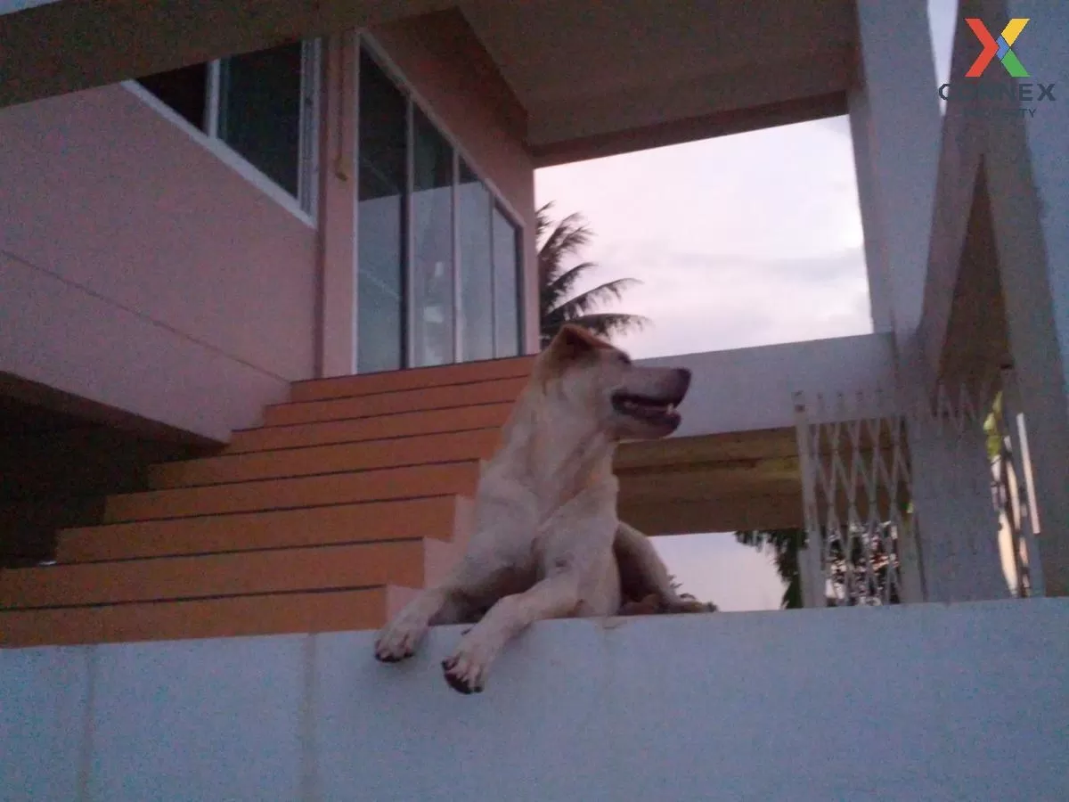 ขายบ้าน พร้อมที่ดิน ติดถนน ชนบท 4066 กาญจนบุรี วิวสวย วิวแม่น้ำ ห ขายบ้าน พร้อมที่ดิน ติดถนน ชนบท 4066 กาญจนบุรี วิวสวย วิวแม่น้ำ ห