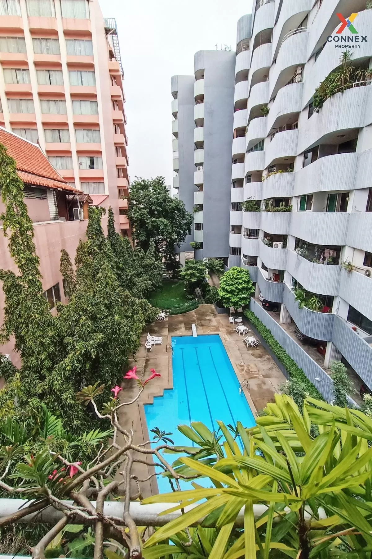 For Sale Condo , Premier Condo Sukhumvit 24 , Duplex , Penthouse 