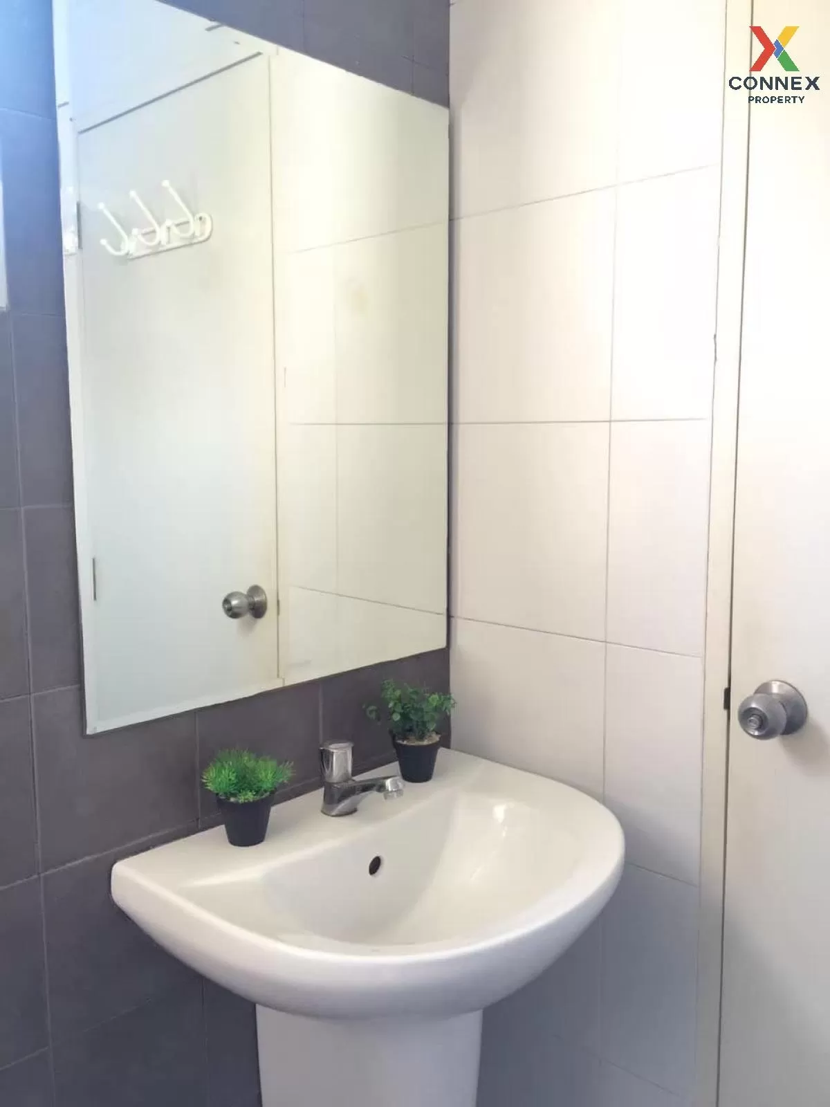 For Rent Condo , My Condo Sukhumvit 52 , BTS-On Nut , Bang Chak ,