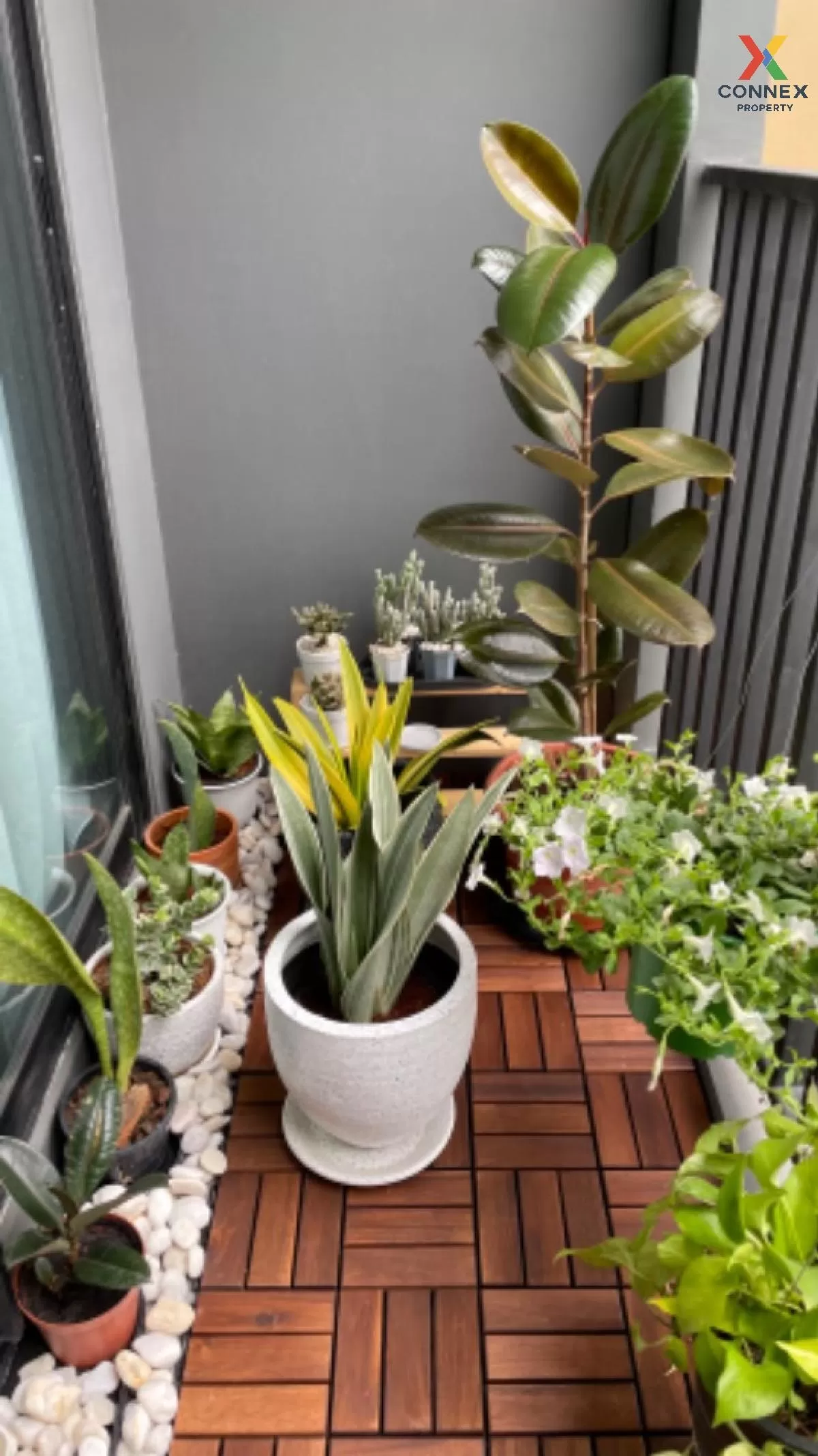 For Sale Condo , Niche Mono Sukhumvit Bearing , BTS-Bearing , Sam For Sale Condo , Niche Mono Sukhumvit Bearing , BTS-Bearing , Sam