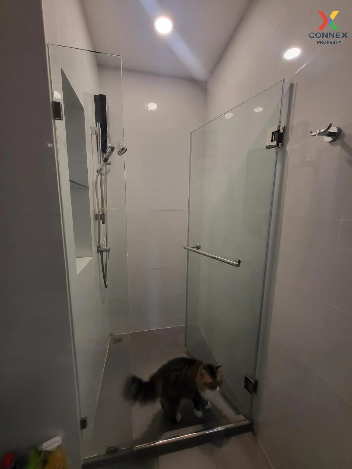 ขายคอนโด  บริกซ์ตัน เพ็ทแอนด์เพลย์ สุขุมวิท 107 BTS-แบริ่ง สำโรงเ