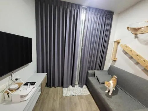 ขายคอนโด  บริกซ์ตัน เพ็ทแอนด์เพลย์ สุขุมวิท 107 BTS-แบริ่ง สำโรงเหนือ เมืองสมุทรปราการ สมุทรปราการ CX-89254