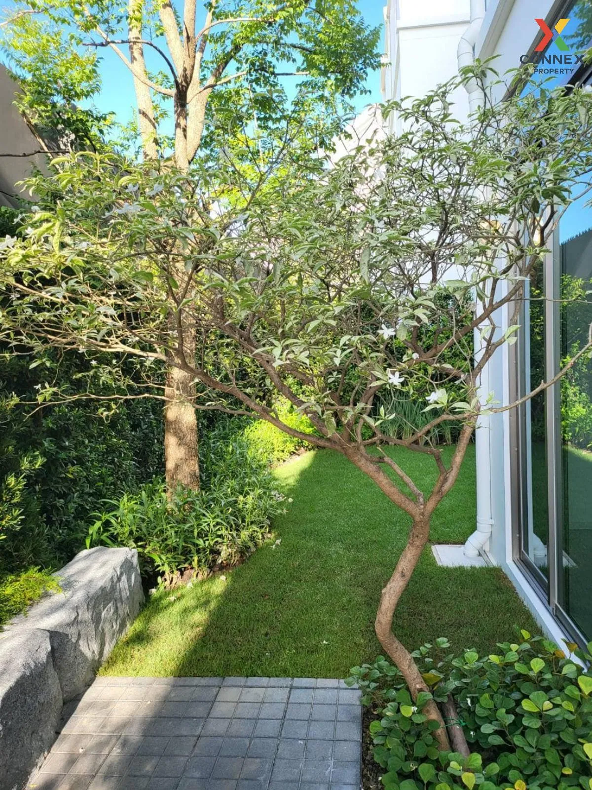 For Rent House , VIVE Rama 9 , MRT-Sri Kretta , Thap Chang , Saph