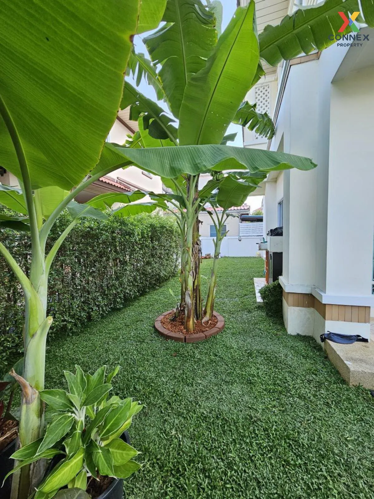 ขายบ้าน  มณีรินทร์ พาร์ค รังสิต บ้านกลาง เมืองปทุมธานี ปทุมธานี C ขายบ้าน  มณีรินทร์ พาร์ค รังสิต บ้านกลาง เมืองปทุมธานี ปทุมธานี C