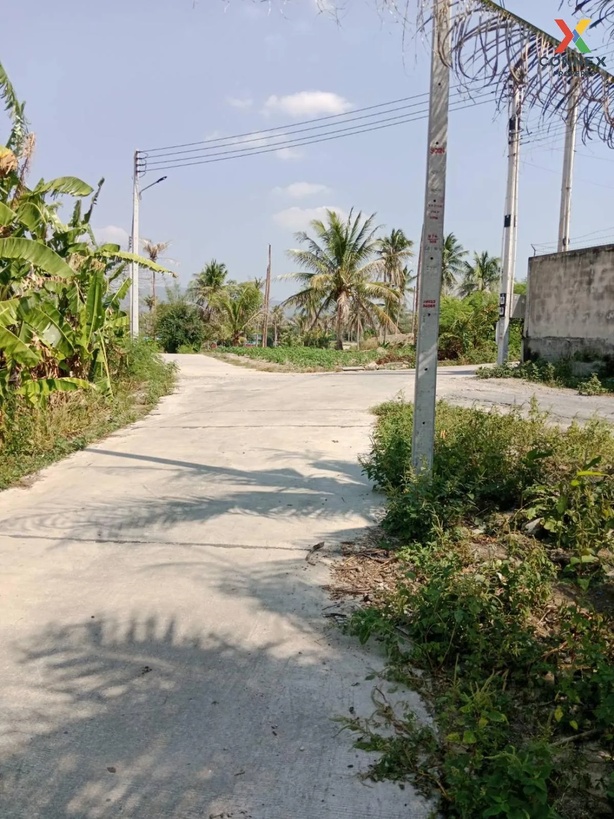 ขายที่ดินเปล่า ศรีราชา ชลบุรี ซอย สนิททยาน หนองขาม ศรีราชา ชลบุรี 1