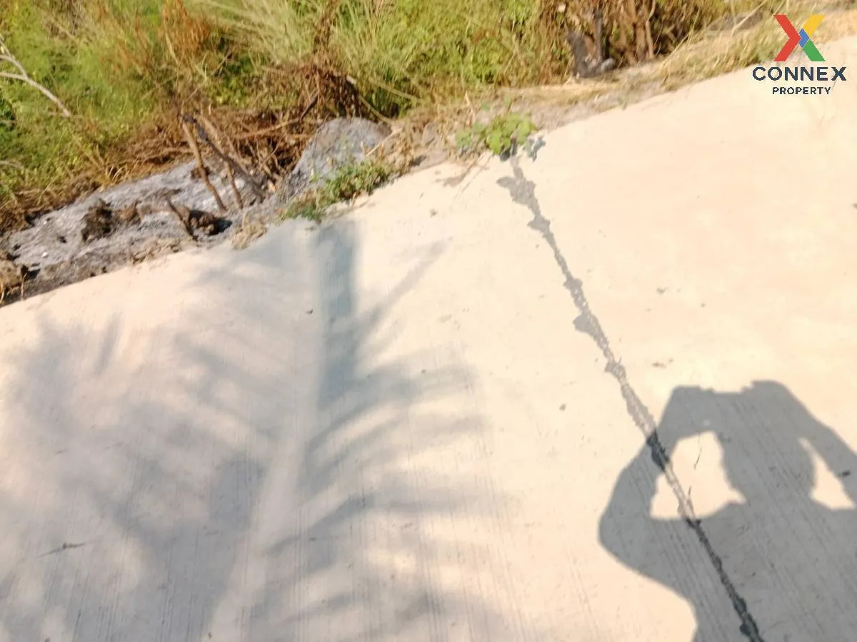 ขายที่ดินเปล่า ศรีราชา ชลบุรี ซอย สนิททยาน หนองขาม ศรีราชา ชลบุรี 3